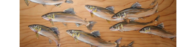 fisco_9_10.JPG